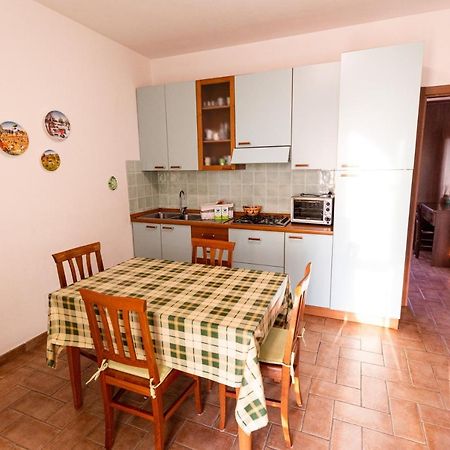 Agriturismo San Filippo Campagnatico ภายนอก รูปภาพ